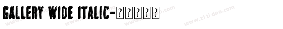 Gallery Wide Italic字体转换